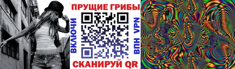 Галлюциногенные грибы Psilocybe  Ливны 