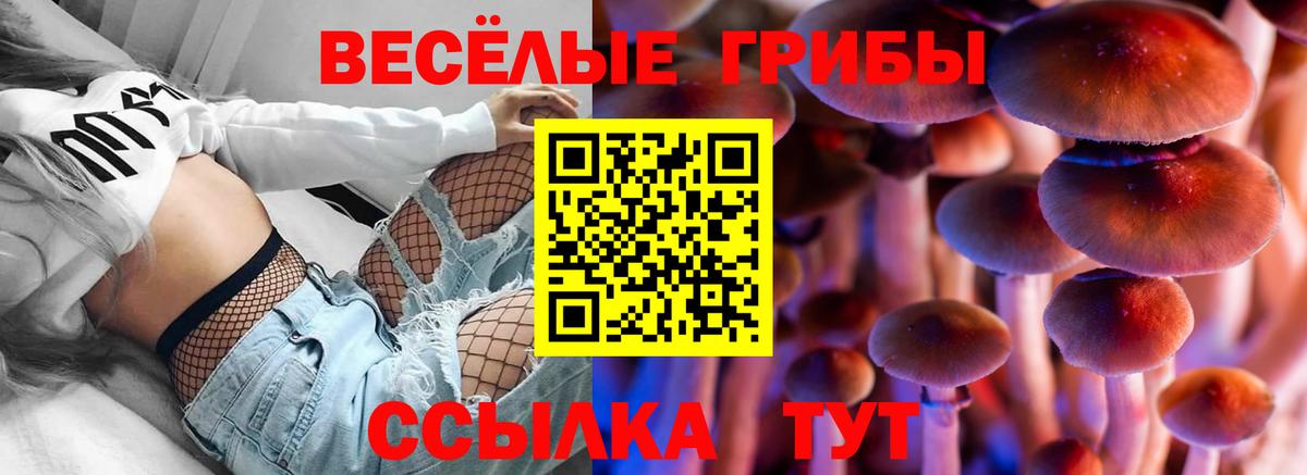 Псилоцибиновые грибы Cubensis  Вход с VPN  Ливны 