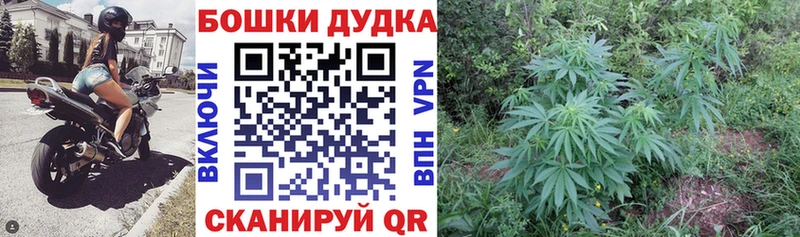 МАРИХУАНА OG Kush  Ливны 